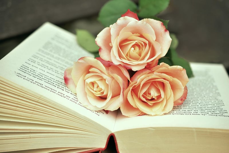 Book Recommendations